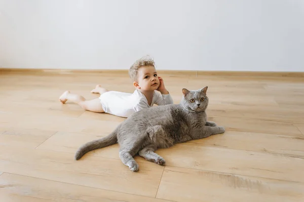 Entzückender Kleinkind-Junge und graue Britische Kurzhaarkatze liegen zu Hause zusammen auf dem Boden — Stockfoto