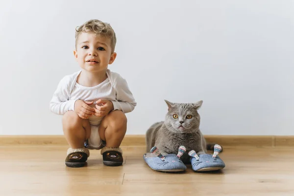 Bonito menino e cinza britânico shorthair gato em travessas em casa — Fotografia de Stock
