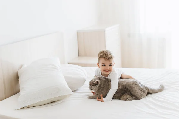 Adorable smiling child playing with grey british shorthair on bed at home — Stock Photo