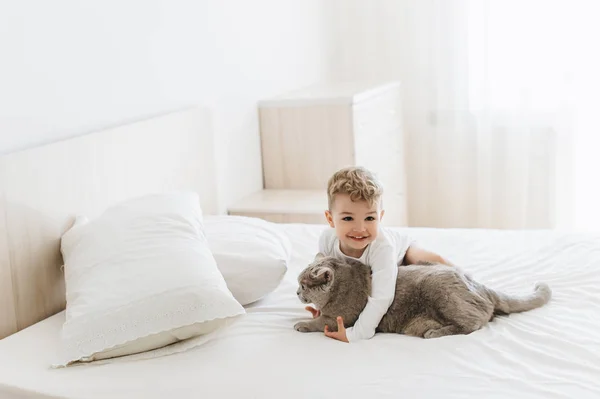 Adorabile bambino sorridente che gioca con stenografia inglese grigia sul letto a casa — Foto stock