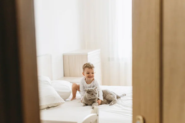 Adorável criança brincando com cinza britânico shorthair na cama em casa — Fotografia de Stock