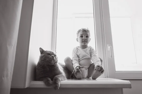 Foto en blanco y negro de lindo niño pequeño con gris británico taquigrafía gato sentado en el alféizar de la ventana en casa - foto de stock