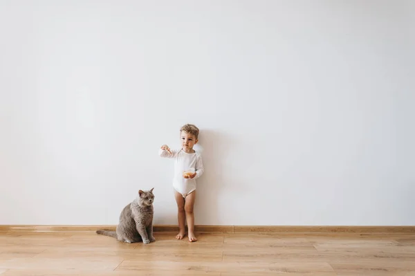 Petit garçon tout-petit en body blanc avec biscuits et chat gris à la maison — Stock Photo
