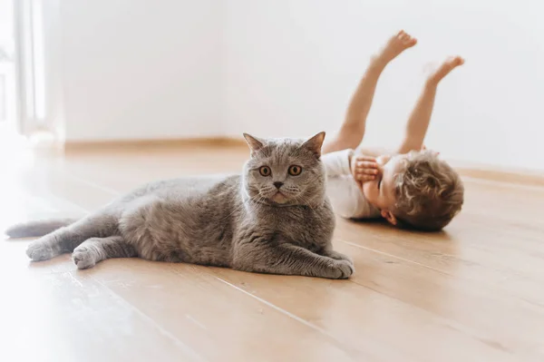 Чарівні малюк хлопчик і сірий Британська короткошерста кішка лежить на підлозі разом в домашніх умовах — стокове фото