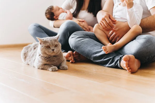 Vista parcial de los padres con dos hijos y gris británico taquigrafía gato sentado en el suelo en casa - foto de stock