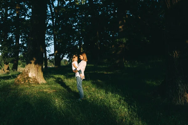 Bosque - foto de stock