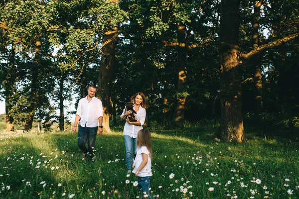 Spaziergang — Stockfoto