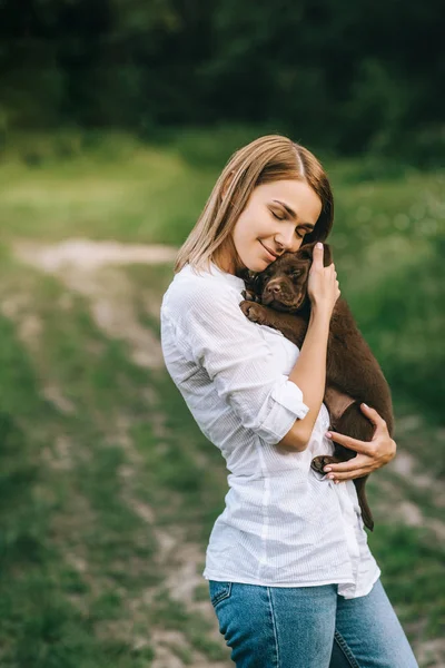 Labrador — Stock Photo