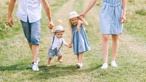 Родители с двумя детьми держатся за руки и ходят по летним полям — стоковое фото