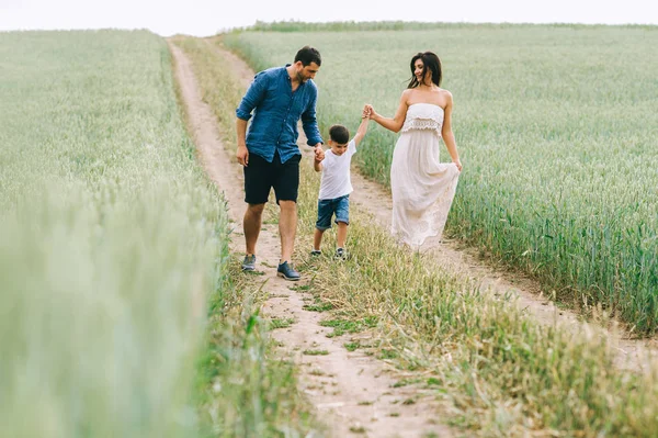 Parents et fils se tenant la main et marchant sur le chemin dans le champ vert — Photo de stock