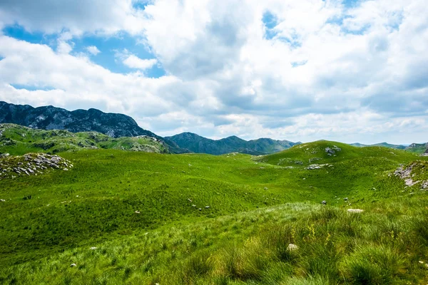 Grünes Gras, Berge und wolkenverhangener Himmel im Durmitor-Massiv, Montenegro — Stockfoto