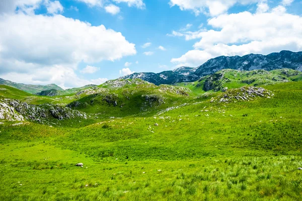 Herbe verte et montagnes dans le massif de Durmitor, Monténégro — Photo de stock