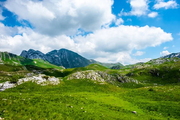 Зеленая долина, горы и голубое облачное небо в массиве Дурмитор, Черногория — стоковое фото