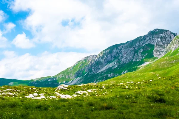 Paisaje de montañas y valle en el macizo de Durmitor, Montenegro - foto de stock