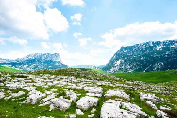 Vallée verte avec des pierres dans le massif de Durmitor, Monténégro — Photo de stock
