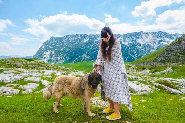 Beautiful woman in blanket palming fluffy dog on valley in Durmitor massif, Montenegro — Stock Photo