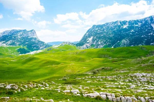 Vale verde com pedras e montanhas em Durmitor maciço, Montenegro — Fotografia de Stock