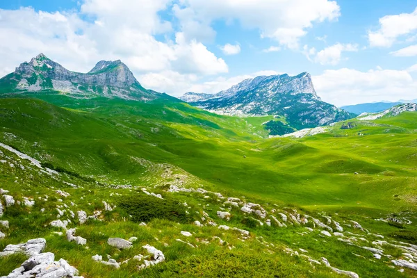 Vallée verte avec pierres et chaîne de montagnes dans le massif de Durmitor, Monténégro — Photo de stock