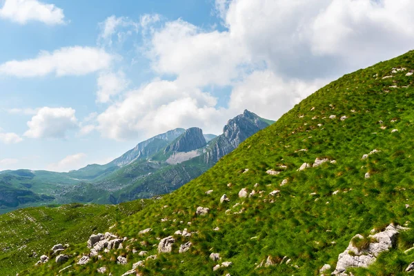 Collines verdoyantes avec de petites pierres au massif de Durmitor, Monténégro — Photo de stock