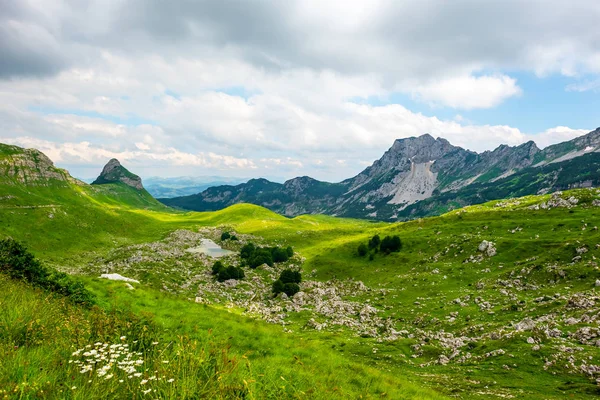 Schönes grünes Tal mit kleinen Steinen im Durmitor-Massiv, Montenegro — Stockfoto