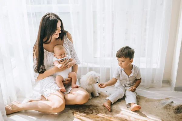 Belle mère heureuse assise sur le sol avec des enfants et un chien de bichon — Photo de stock