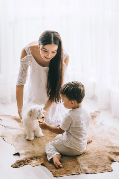 Hermosa joven madre y el niño jugando con el perro bichon mientras está sentado en el suelo en casa - foto de stock