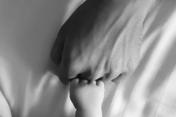 Black and white picture of hands of man and infant son in bed — Stock Photo