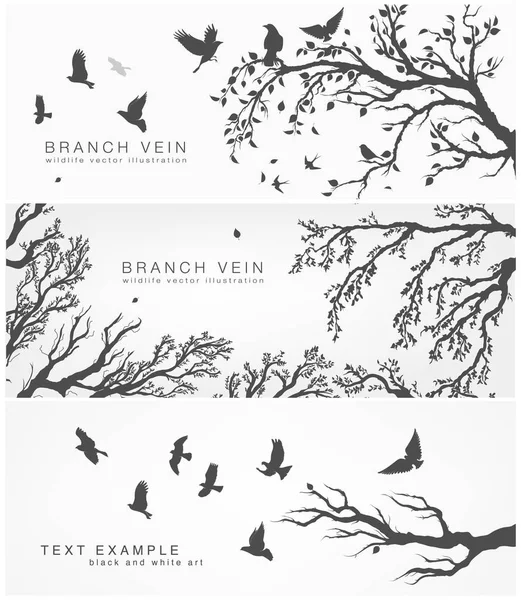 Set Banners Facebook Tree Branches Leaves Birds Isolated White — Stock Vector