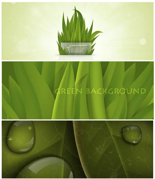 Uppsättning Gräs Natur Banner För Facebook — Stock vektor