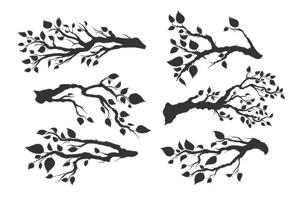 白で隔離の葉と木の枝のセット — ストックベクタ