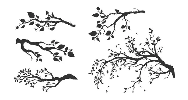 Reihe Von Ästen Mit Blättern Isoliert Auf Weiß — Stockvektor