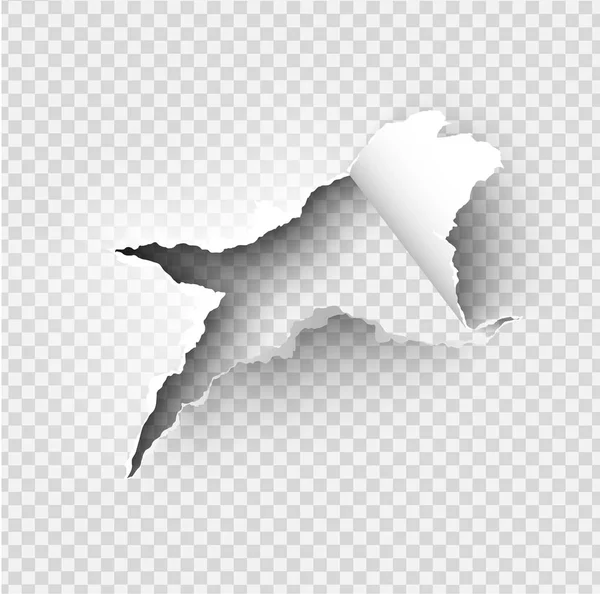 Irregular Agujero rasgado en papel rasgado en transparente — Vector de stock