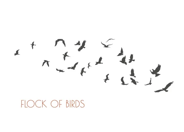 Figuras bandada de aves voladoras en blanco — Vector de stock