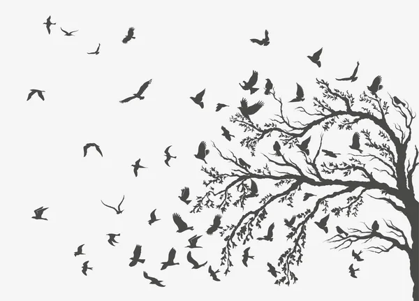 Figuren Schwarm fliegender Vögel auf weißem Grund — Stockvektor