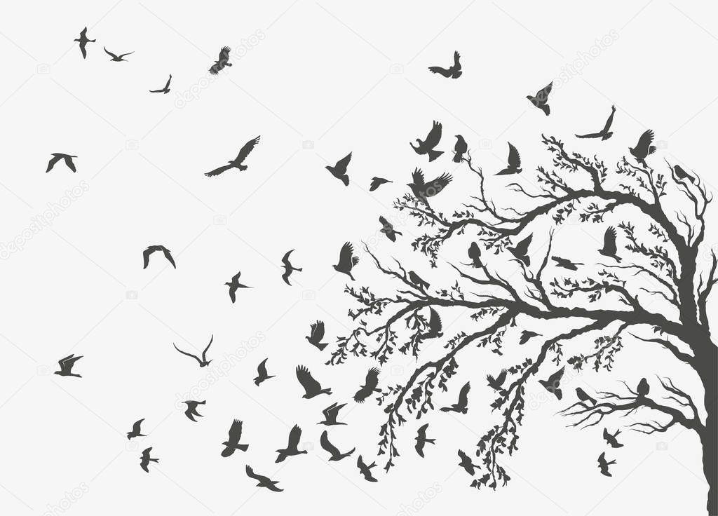 figures flock of flying birds on white