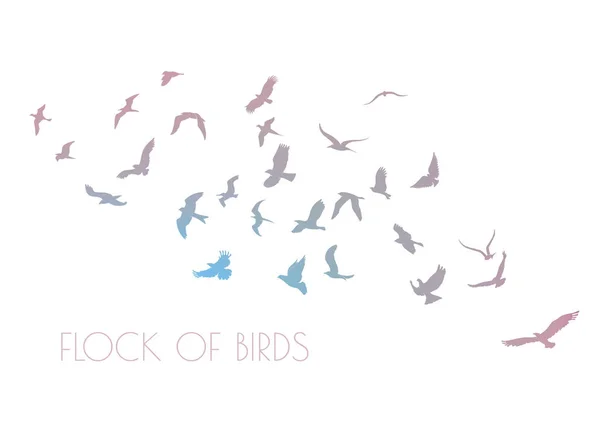 Figuras bandada multicolor de aves voladoras en blanco — Vector de stock