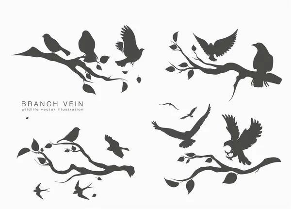 Figura conjunto bandada aves voladoras en rama de árbol — Vector de stock