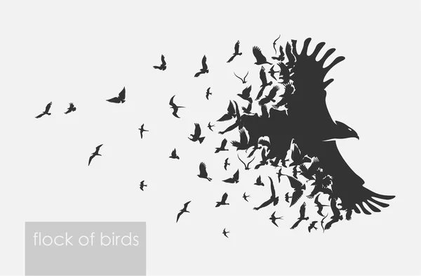 Figuras bandada de aves voladoras en blanco — Archivo Imágenes Vectoriales