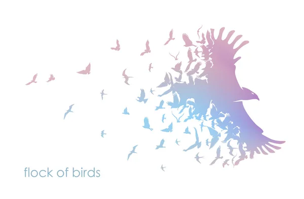 Figuras bandada multicolor de aves voladoras en blanco — Vector de stock