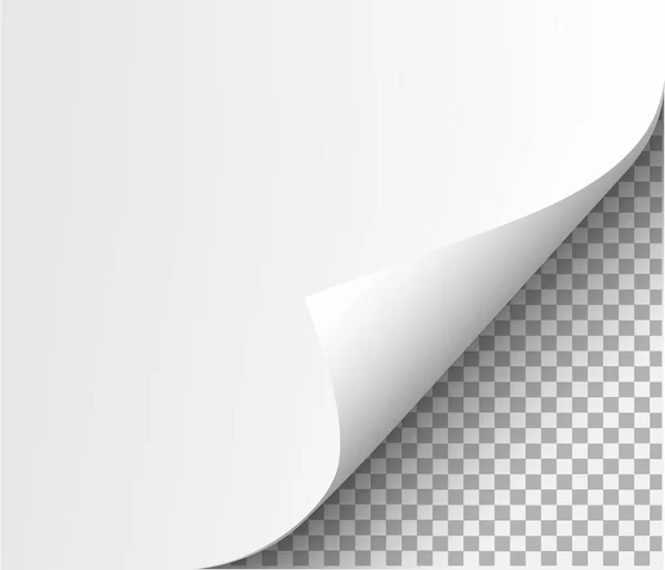 用紙の空白のシートに影でページカール — ストックベクタ