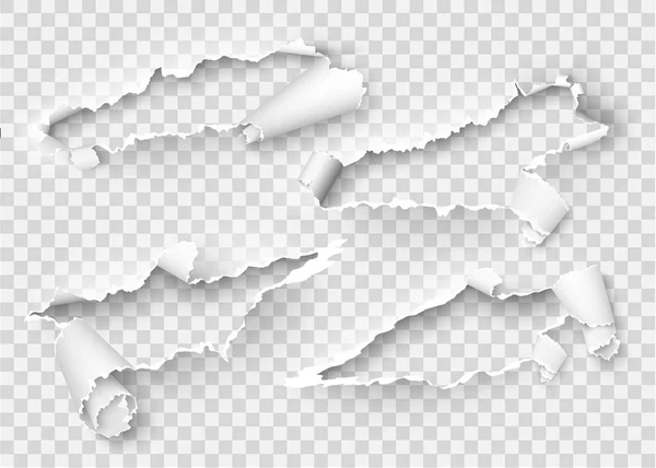 Torn ripped paper vector template, sides with ripped edges on realistic paper background. Ripped side set of banners for web and print and space for text.