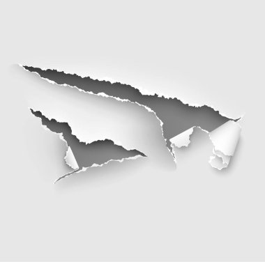 Yırtılmış kağıt vektör şablonu, gerçekçi Kağıt arka planda yırtık kenarlar ile kenarları yırtık. Web ve baskı ve metin için alan için afiş sökük yan seti.