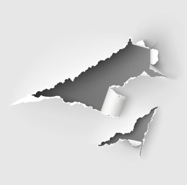 Yırtılmış kağıt vektör şablonu, gerçekçi Kağıt arka planda yırtık kenarlar ile kenarları yırtık. Web ve baskı ve metin için alan için afiş sökük yan seti.