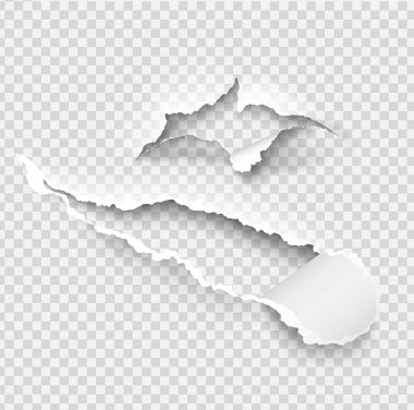 Yırtılmış kağıt vektör şablonu, gerçekçi Kağıt arka planda yırtık kenarlar ile kenarları yırtık. Web ve baskı ve metin için alan için afiş sökük yan seti.