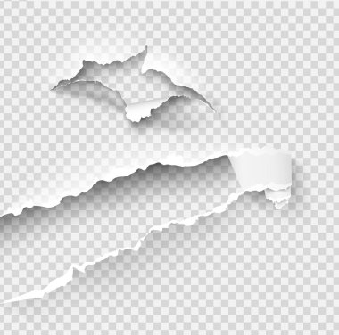 Yırtılmış kağıt vektör şablonu, gerçekçi Kağıt arka planda yırtık kenarlar ile kenarları yırtık. Web ve baskı ve metin için alan için afiş sökük yan seti.