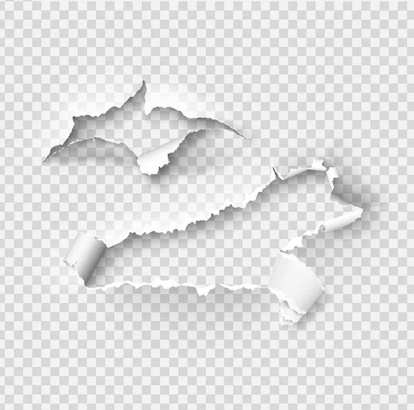 Torn ripped paper vector template, sides with ripped edges on re