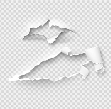 Yırtık kağıt vektör şablonu, yeniden üzerinde yırtık kenarlar ile kenarları yırtık