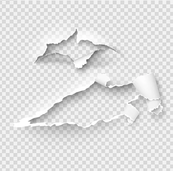 Yırtık kağıt vektör şablonu, yeniden üzerinde yırtık kenarlar ile kenarları yırtık — Stok Vektör