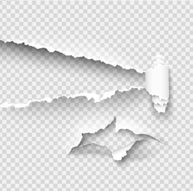 Yırtık kağıt vektör şablonu, yeniden üzerinde yırtık kenarlar ile kenarları yırtık