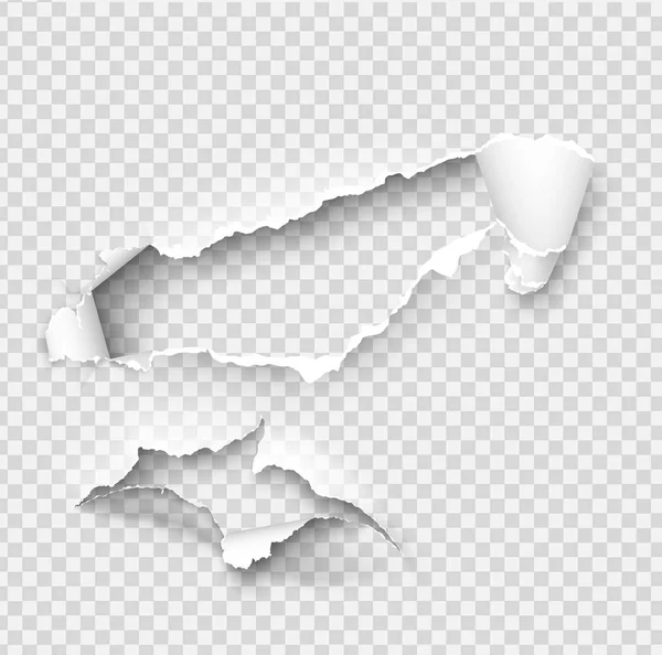 Yırtık kağıt vektör şablonu, yeniden üzerinde yırtık kenarlar ile kenarları yırtık — Stok Vektör